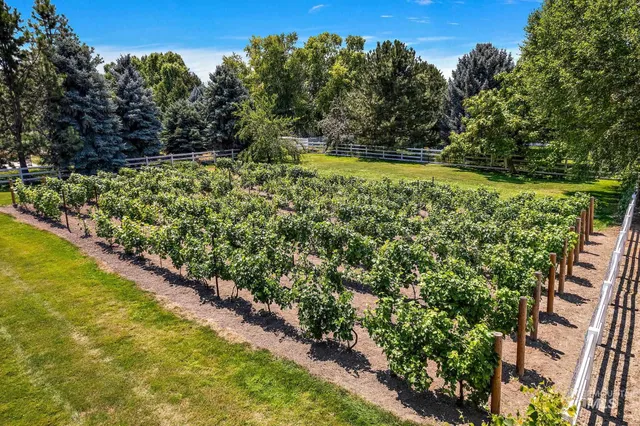 $1,799,990 | 515 North Sierra View Way, Eagle, ID 83616