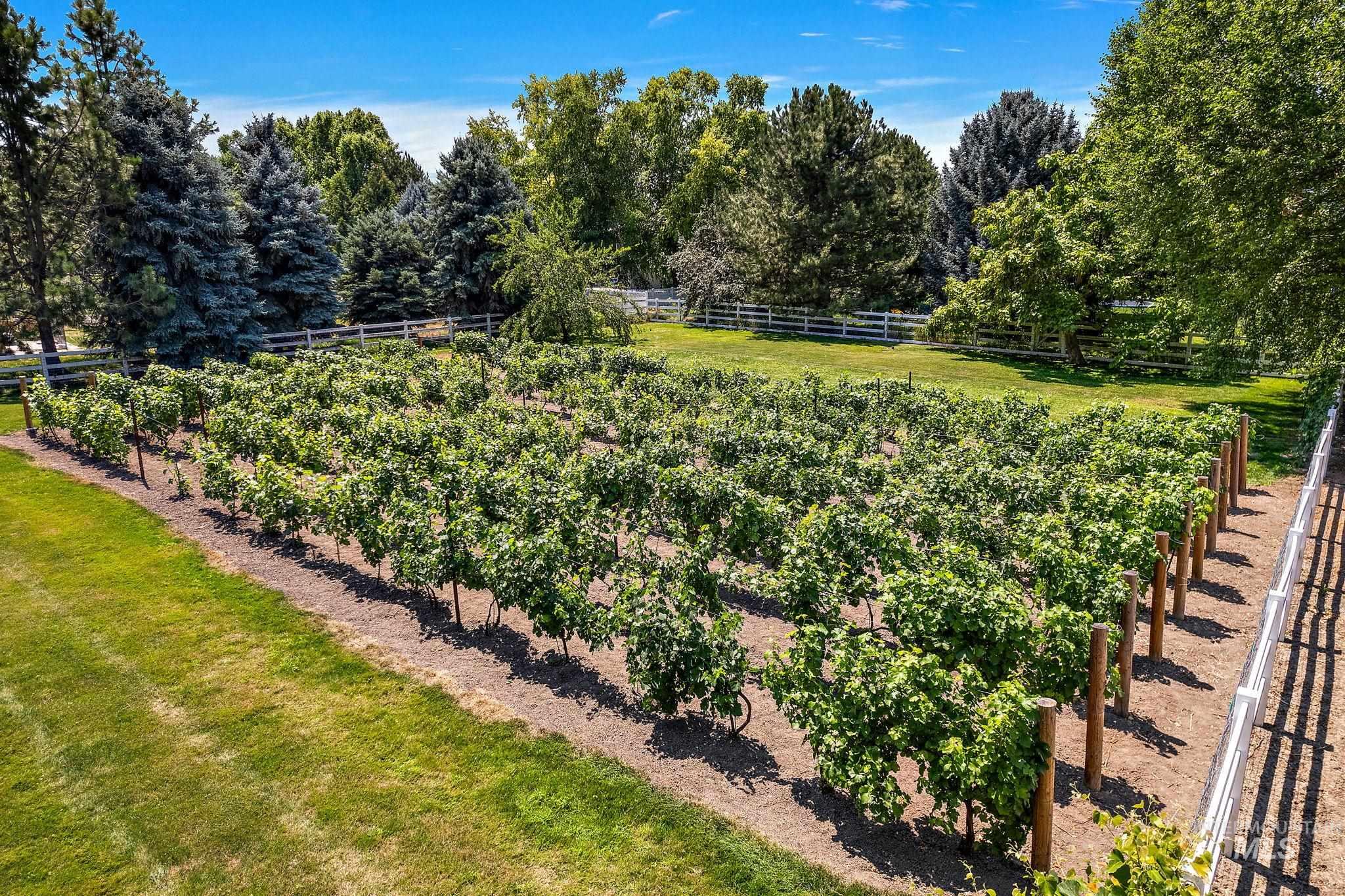 515 North Sierra View Way Eagle, ID 83616 - Photo 47 of 50 View of yard with a vegetable garden and a view of rural / pastoral area