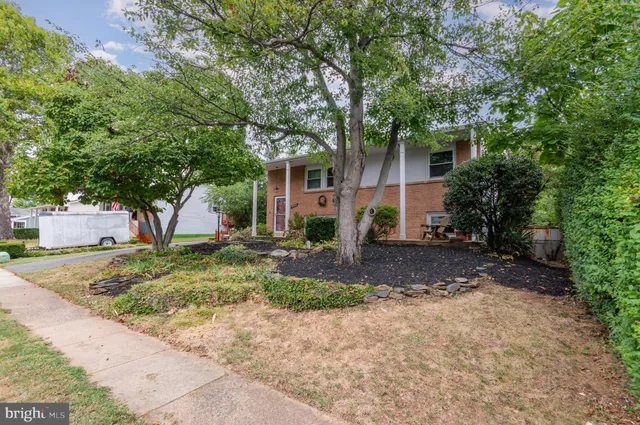 a view of a house with a tree in front of it