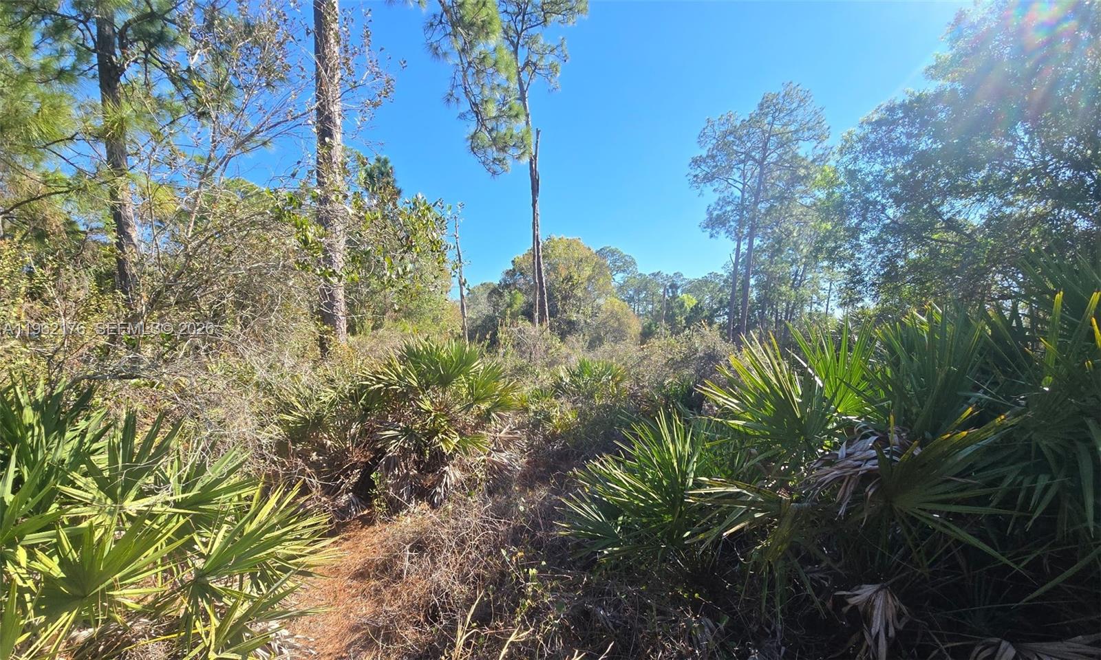 665 South Palm Street Clewiston, FL 33440 - Photo 11 of 33