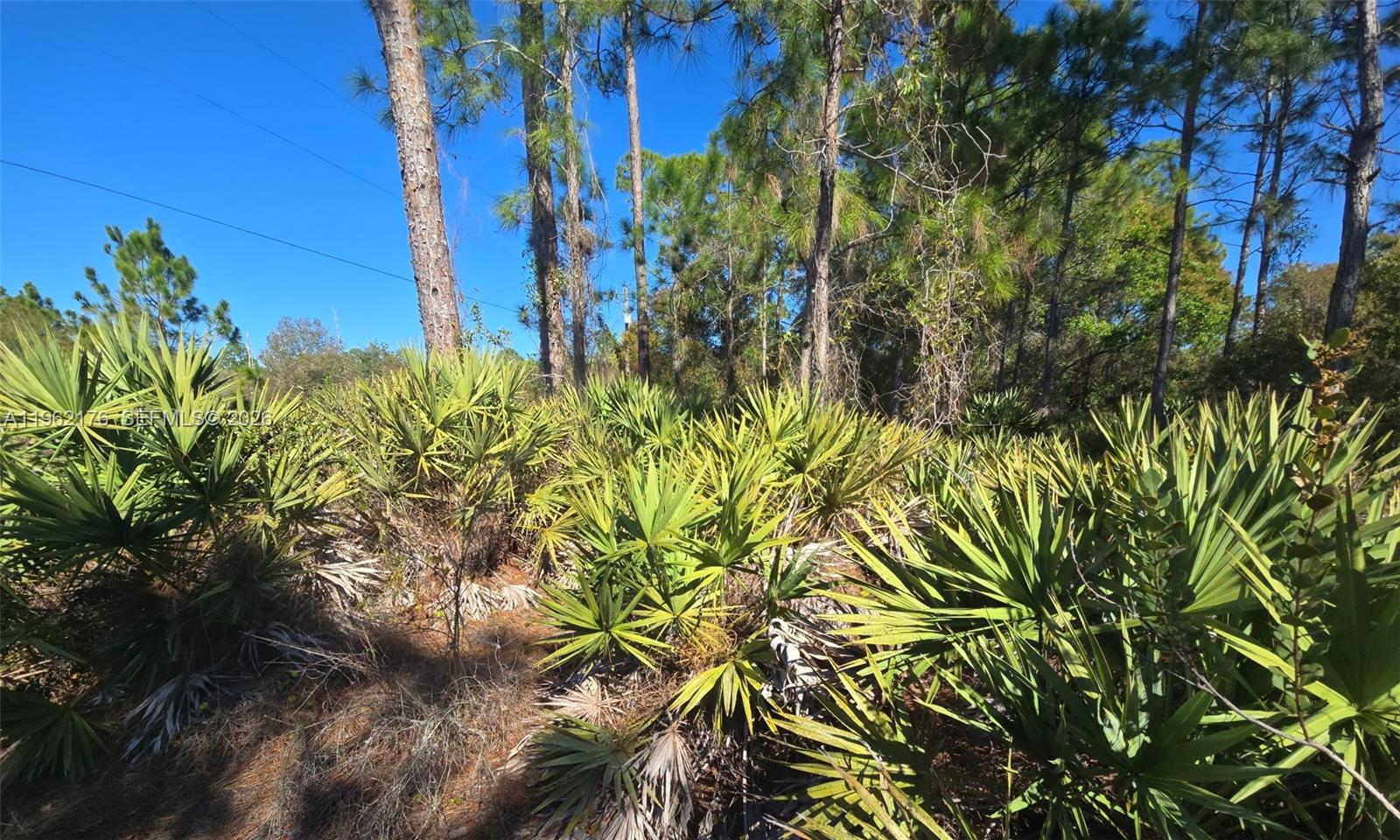 665 South Palm Street Clewiston, FL 33440 - Photo 12 of 33