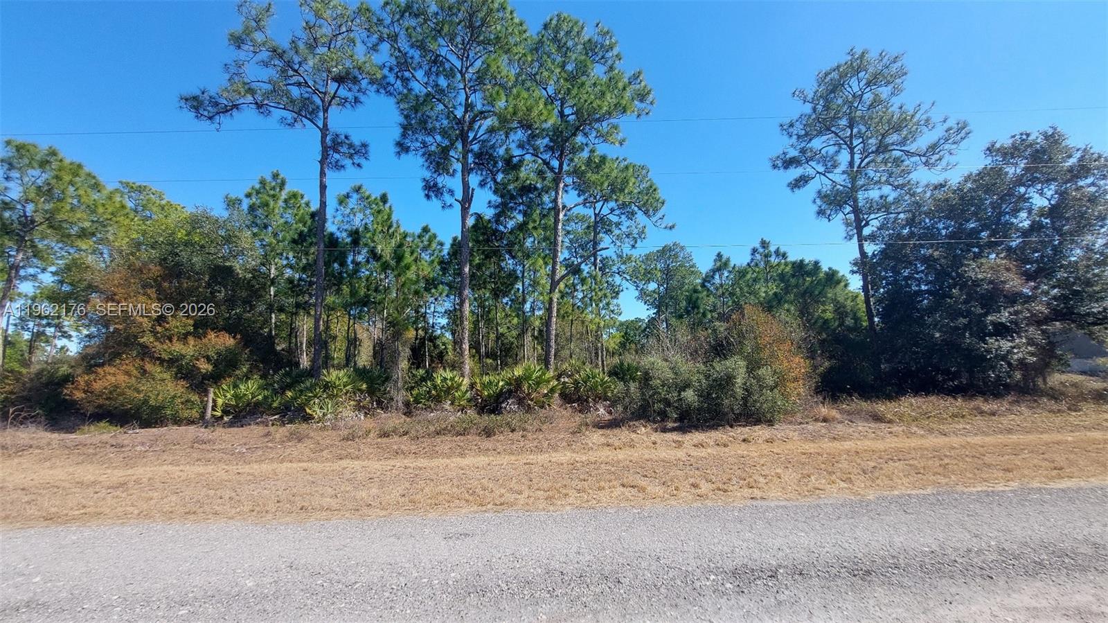 665 South Palm Street Clewiston, FL 33440 - Photo 3 of 33