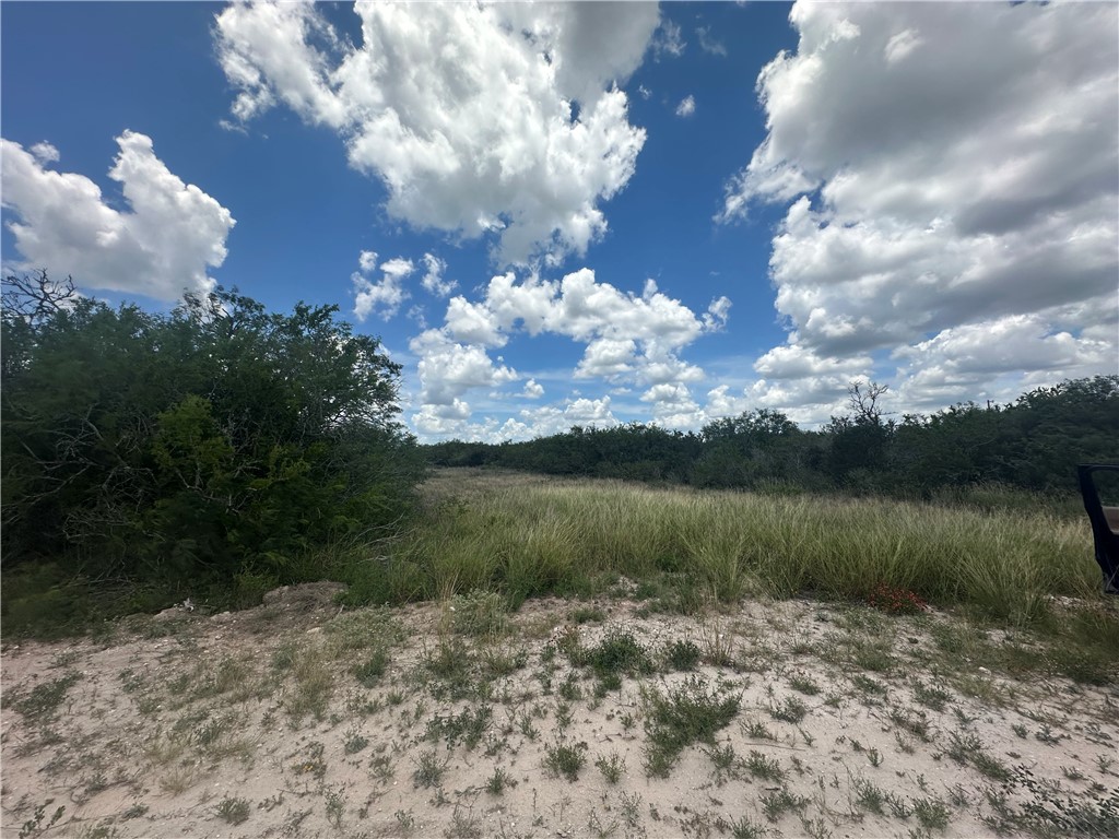 208 Mockingbird Lane Orange Grove, TX 78372 - Photo 3 of 7 a view of a lake with a yard