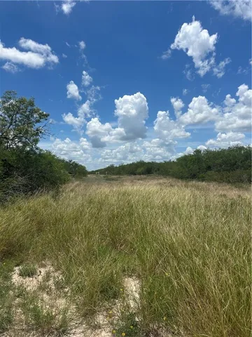 a view of a bunch of flowers in bunch