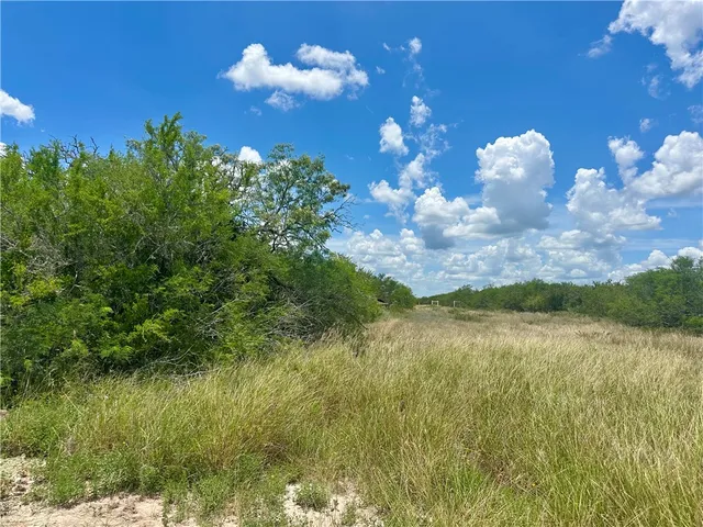 $25,500 | 208 Mockingbird Lane, Orange Grove, TX 78372