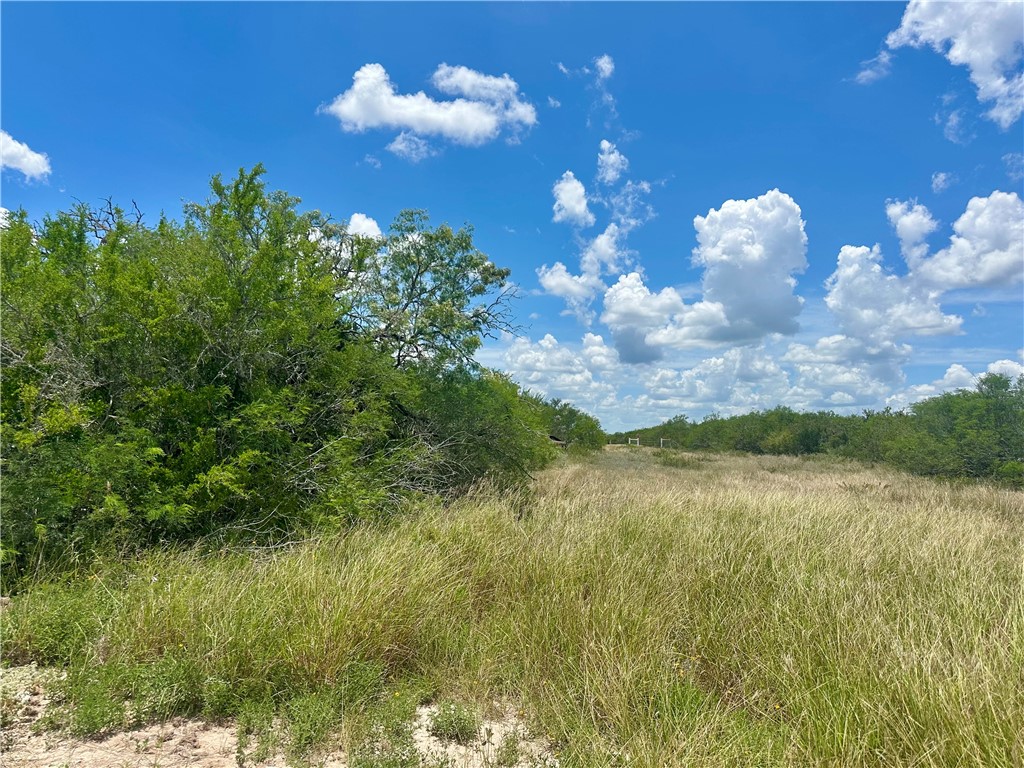 208 Mockingbird Lane Orange Grove, TX 78372 - Photo 7 of 7 a view of a bunch of flowers in bunch