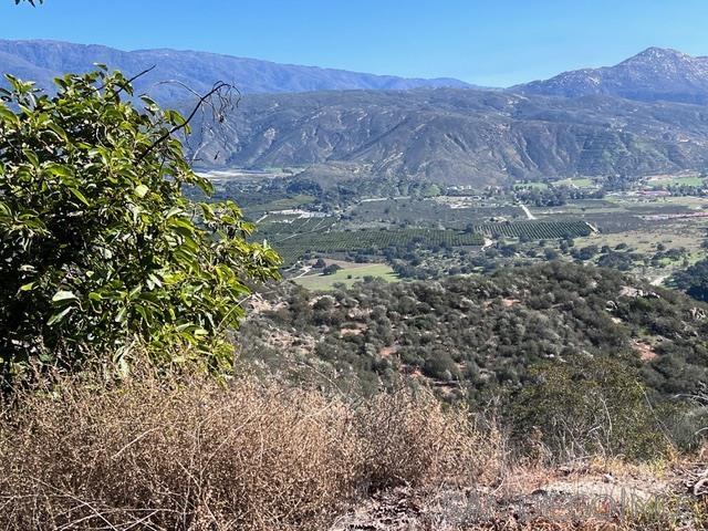 0 Pauma Heights Road Valley Center, CA 92082 - Photo 20 of 24 a view of a dry yard with mountains in the background