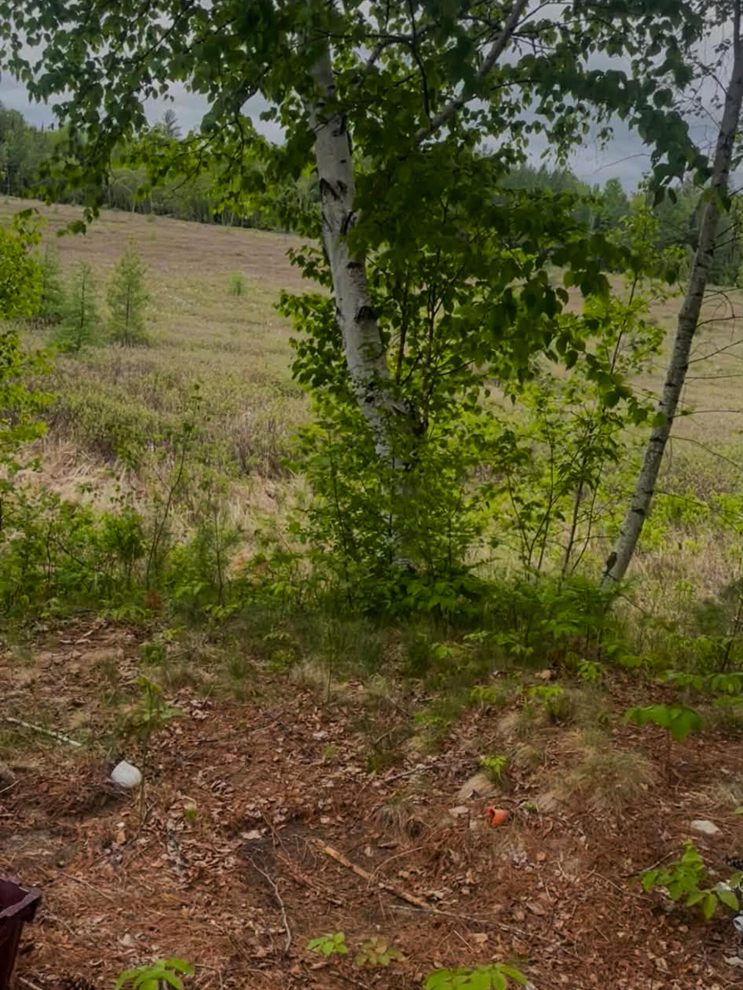 4422 Bennoch Road Alton, ME 04468 - Photo 5 of 11 26 Old County 7 Fox Run -6
