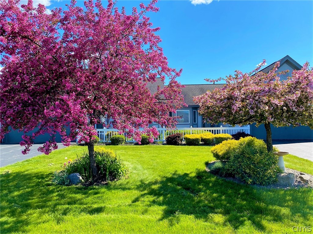 231 Oarlock Circle Manlius, NY 13057 - Photo 34 of 35 How beautiful is this landscaping?!