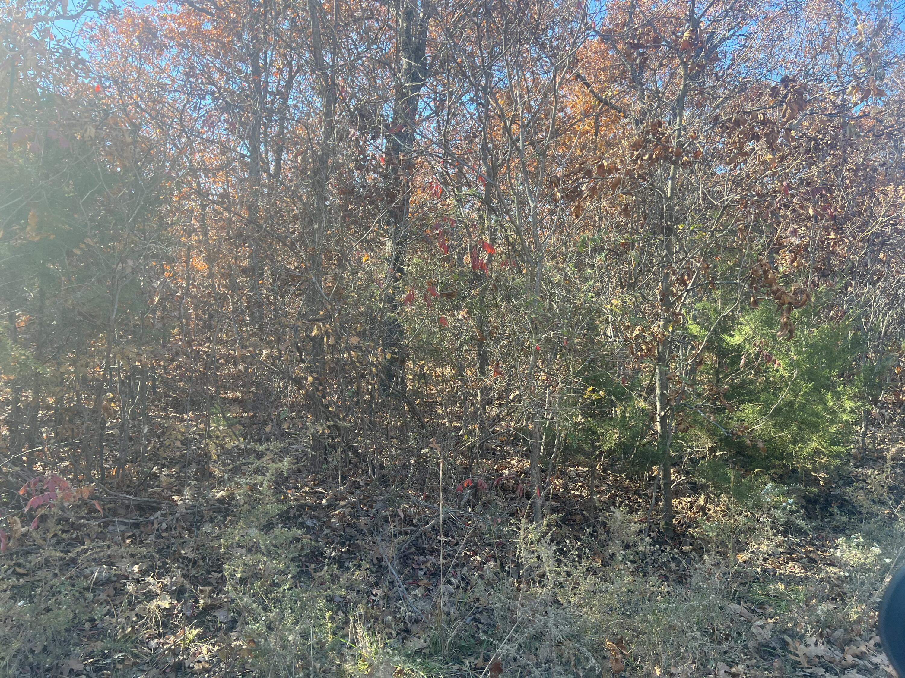 0 East 348th Road Humansville, MO 65674 - Photo 1 of 1 10 Acres in Polk Co.