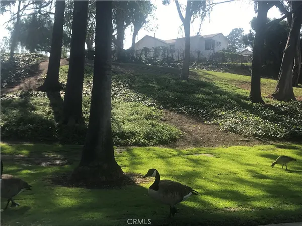 $6,500 | 16801 East Buena Vista Avenue, Orange, CA 92865