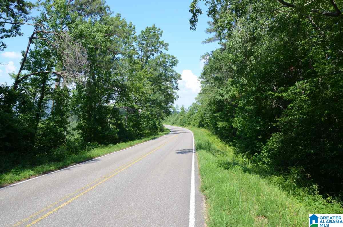 10098 County Road 55, Unit 24 ACRES Fruithurst, AL 36262 - Photo 18 of 27
