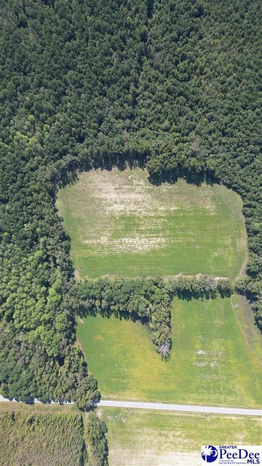 Lot D Dalcho Road Latta, SC 29565 - Photo 9 of 9 Gallery Image 9