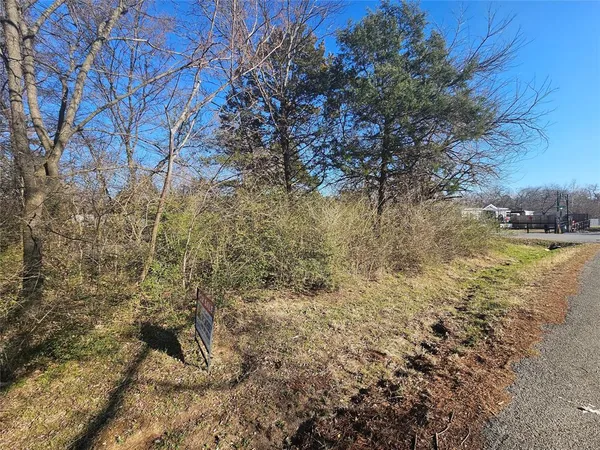 a view of a yard with large trees