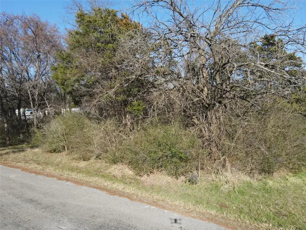 a view of a yard with a tree