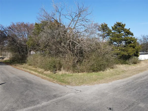 a view of a yard with a tree