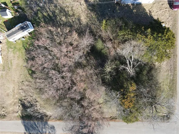 a view of a yard with a tree
