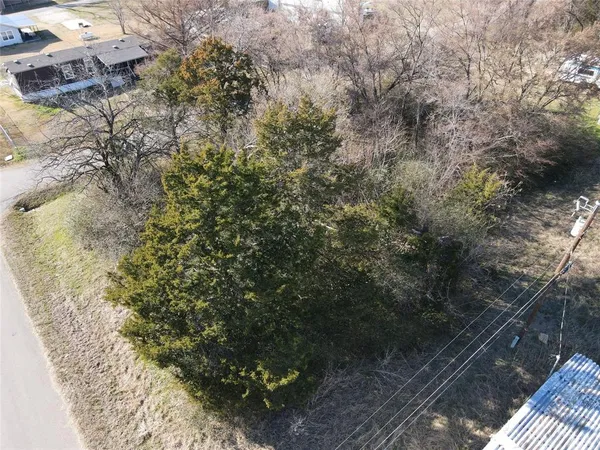 a view of a yard