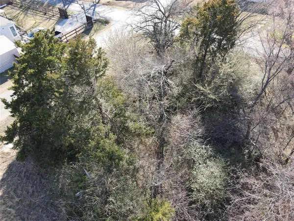a view of a forest with lots of trees