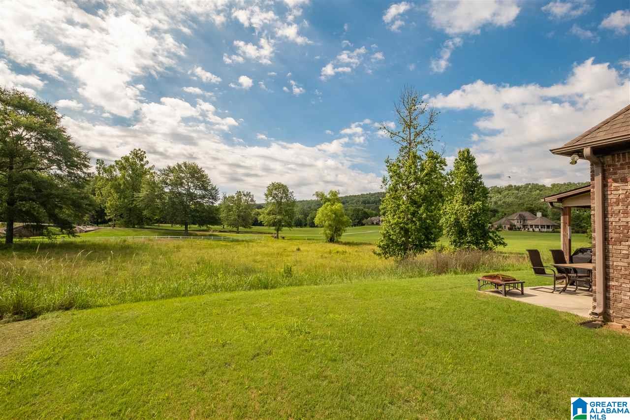 445 Legacy Drive Springville, AL 35146 - Photo 27 of 31