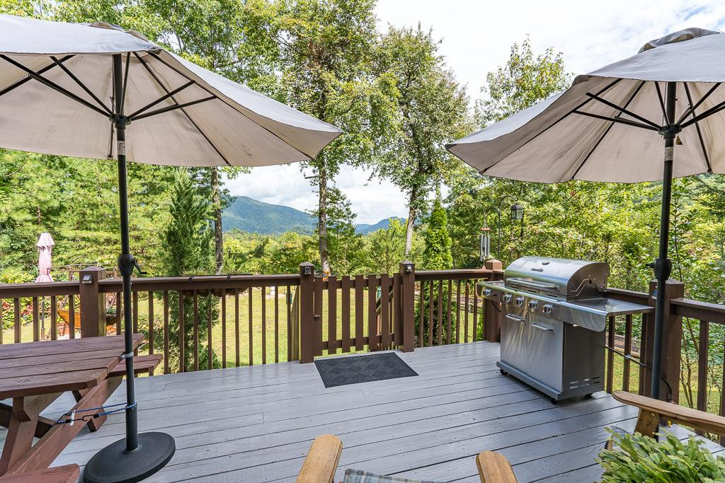45 Looking Glass Road Andrews, NC 28901 - Photo 1 of 52 Main View