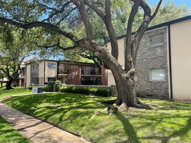 a tree in front of a white house