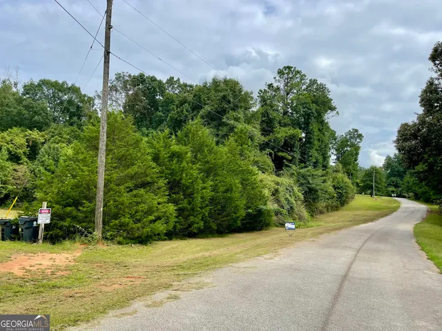a view of a backyard with plants