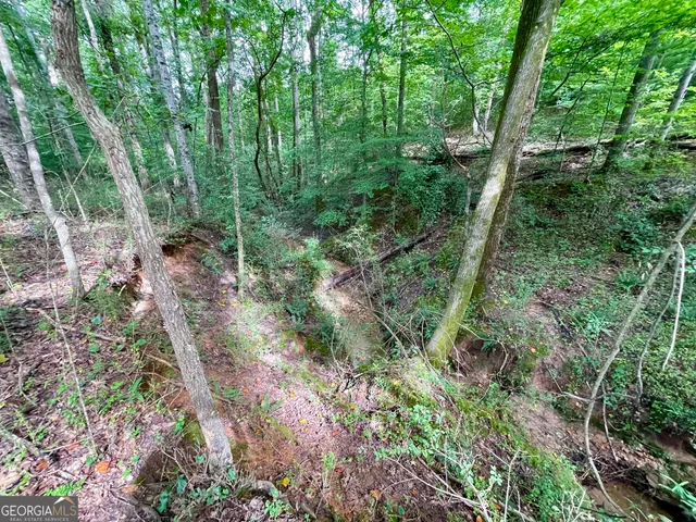 an aerial view of residential house with outdoor space and trees all around