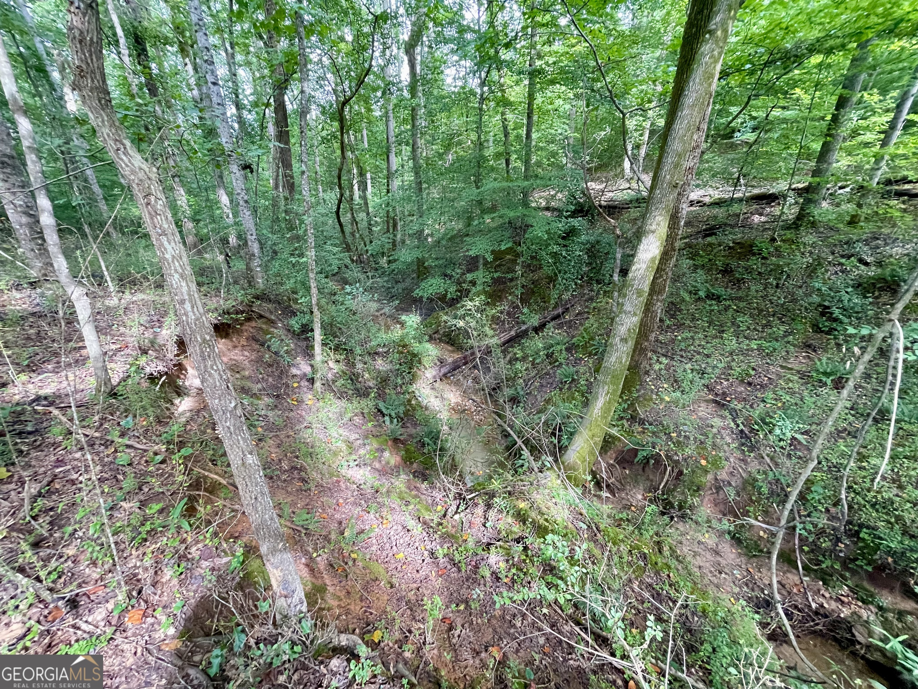 50 Winding Lane Locust Grove, GA 30248 - Photo 11 of 18