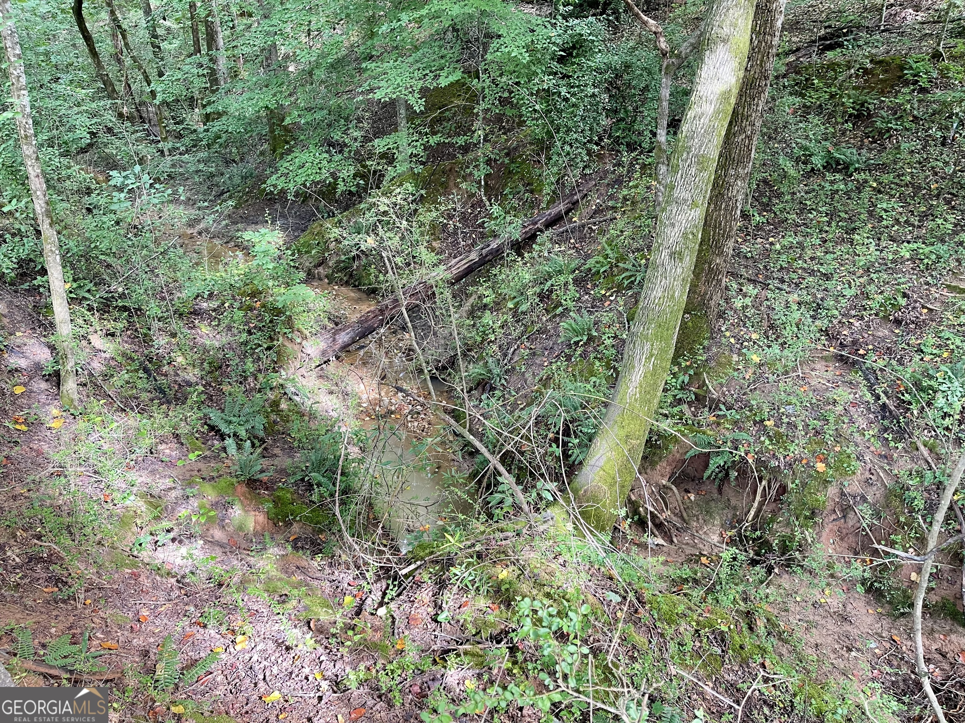 50 Winding Lane Locust Grove, GA 30248 - Photo 12 of 18 an aerial view of residential house with outdoor space and trees all around