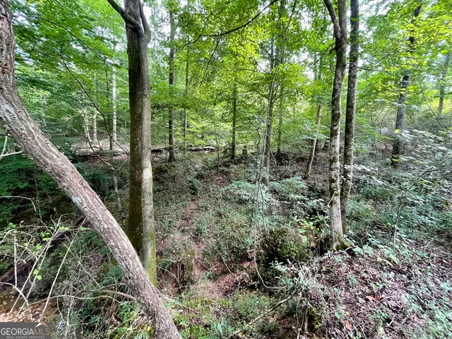 a black and white photo of a house