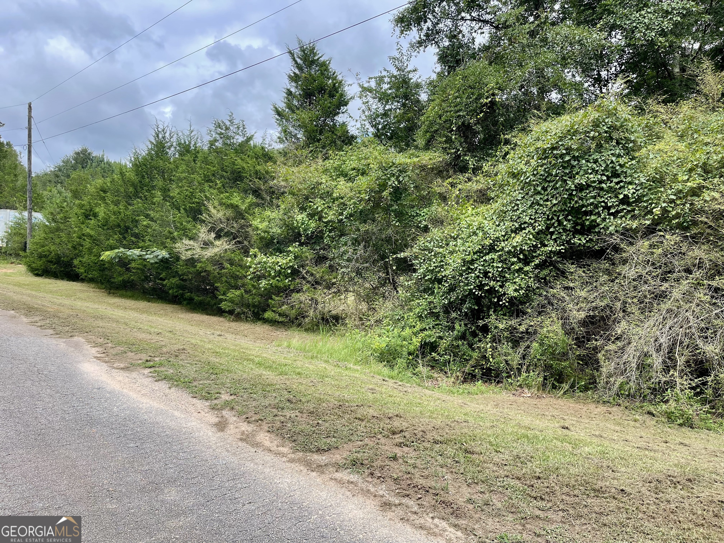 50 Winding Lane Locust Grove, GA 30248 - Photo 2 of 18 a view of a yard with plants and a trees