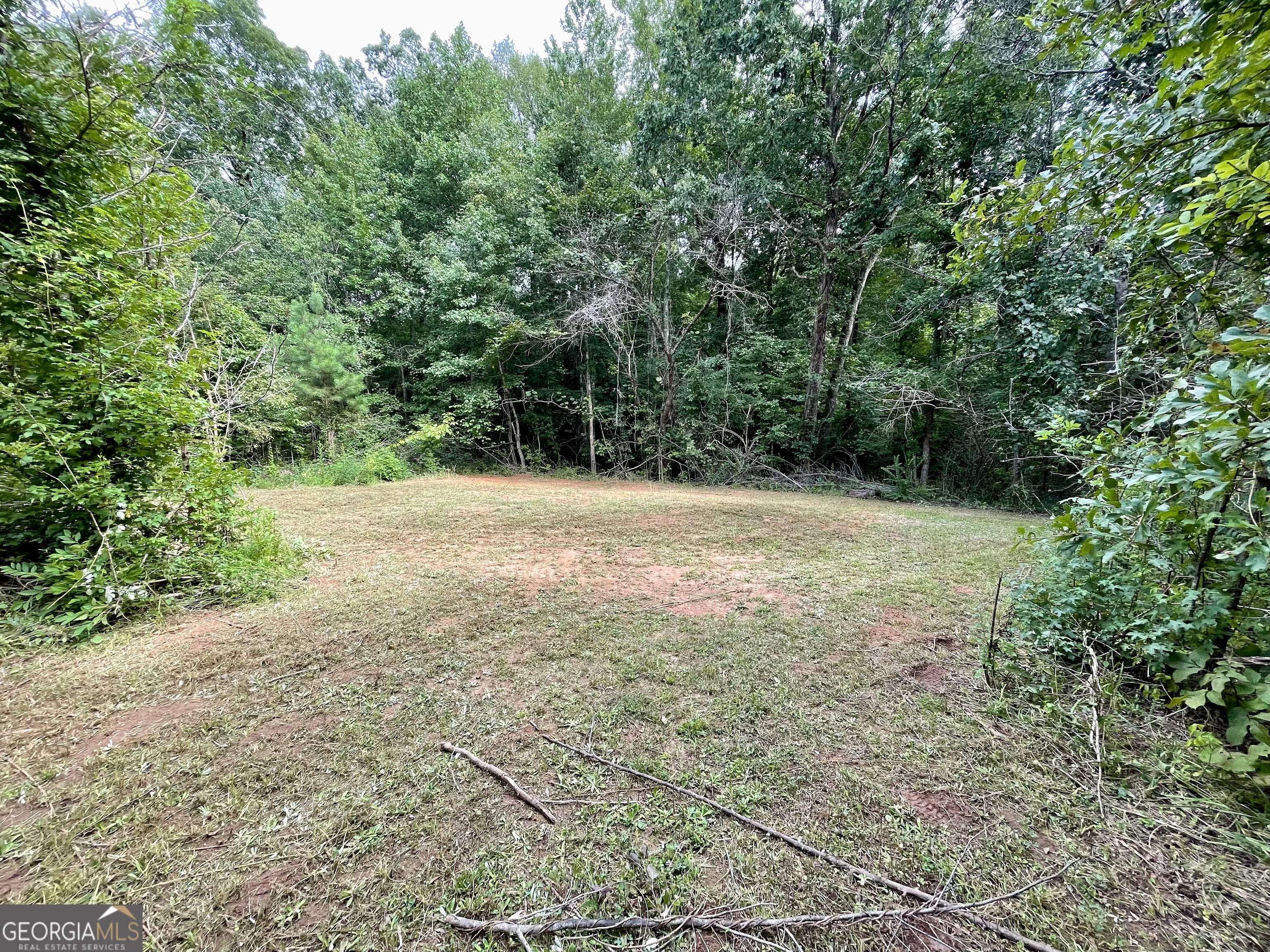 50 Winding Lane Locust Grove, GA 30248 - Photo 8 of 18 a view of an outdoor space with a lake view