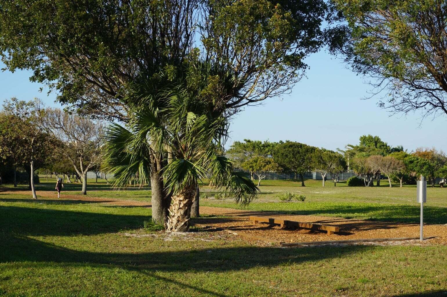 717 Highway 1, Unit 812 Jupiter, FL 33477 - Photo 31 of 41 a view of a park with large trees