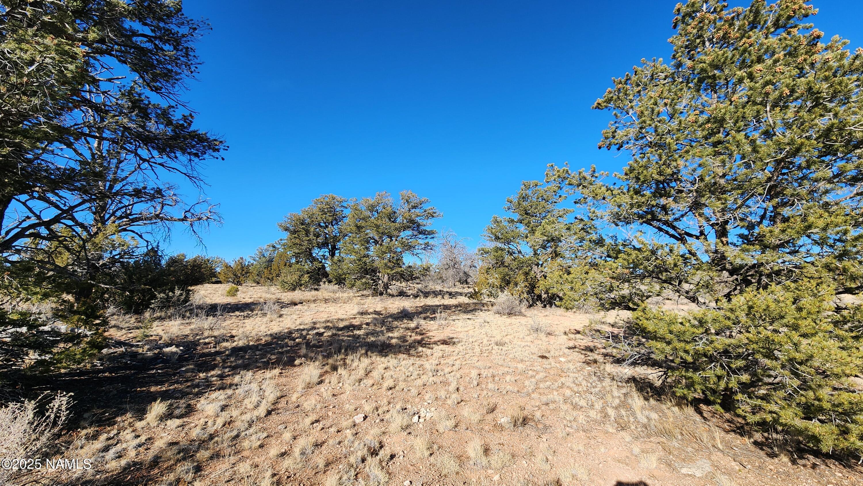 5535 Red Butte Road Williams, AZ 86046 - Photo 22 of 40 1000024120