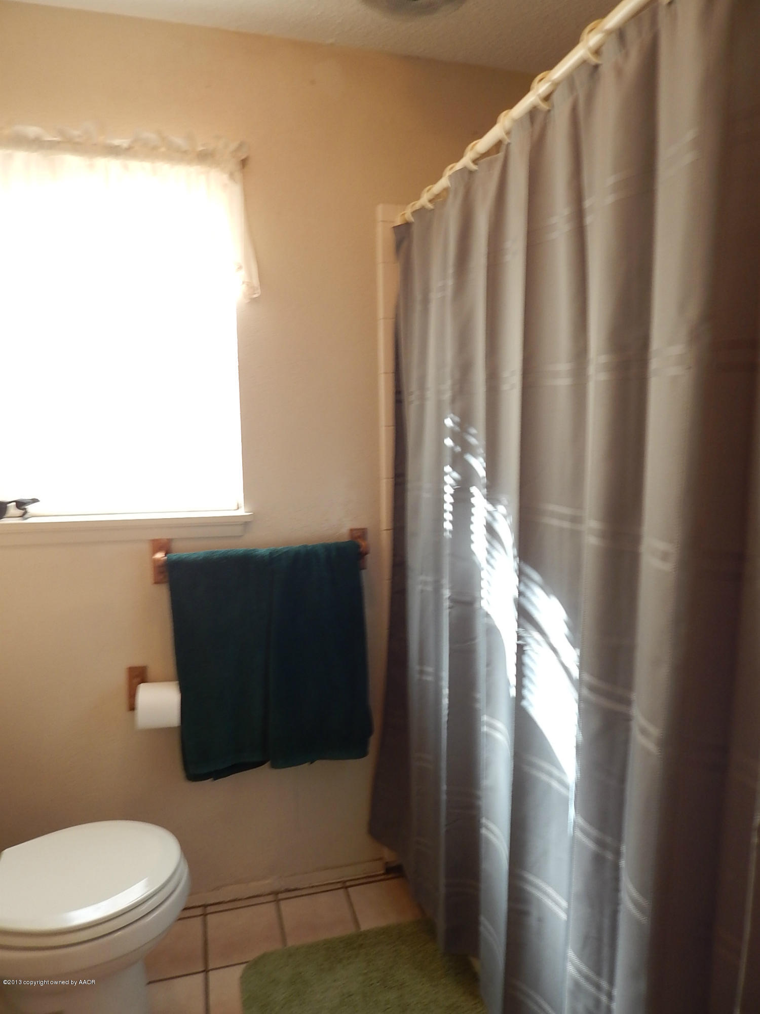 4700 South Milam Street Amarillo, TX 79110 - Photo 15 of 17 a bathroom with a toilet and a shower curtain