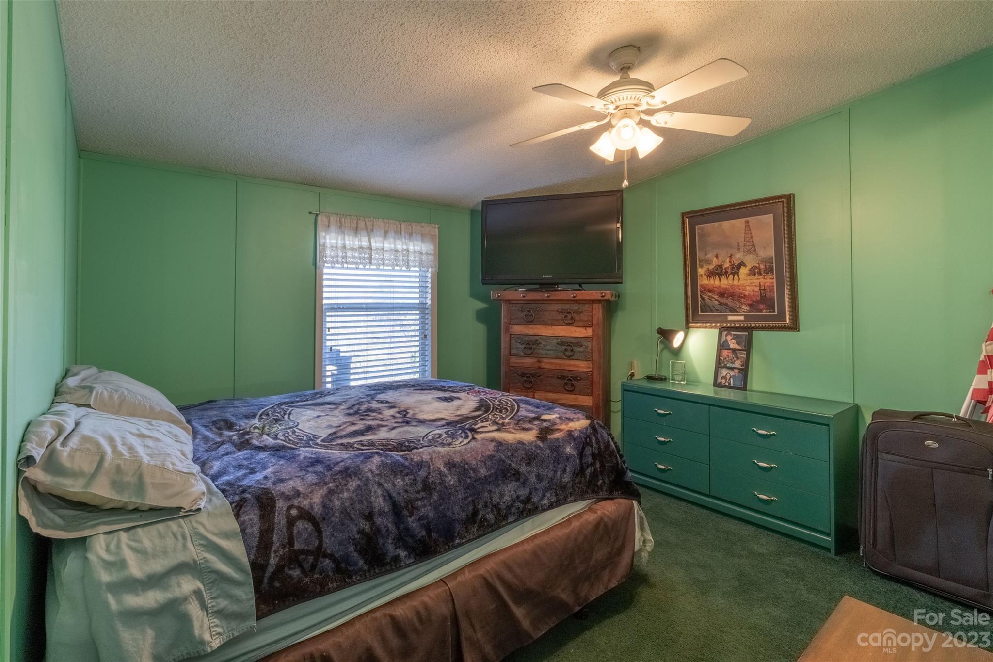 170 Painter Street Sylva, NC 28779 - Photo 16 of 48 a bedroom with a bed and a dresser