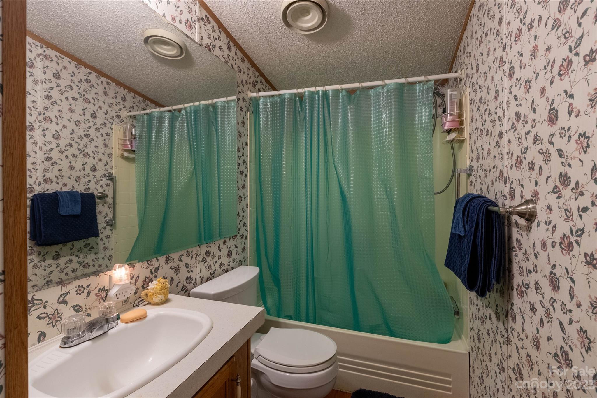 170 Painter Street Sylva, NC 28779 - Photo 17 of 48 a bathroom with a sink toilet and shower