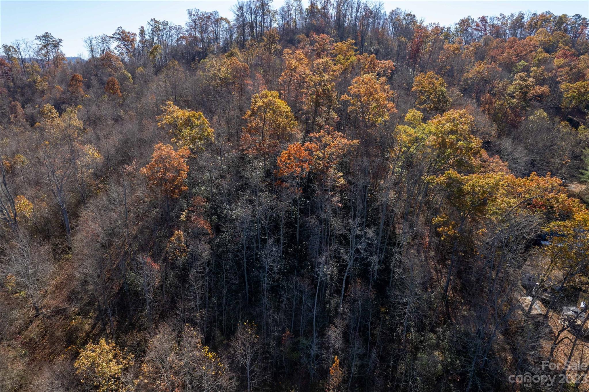 170 Painter Street Sylva, NC 28779 - Photo 31 of 48 a view of a building