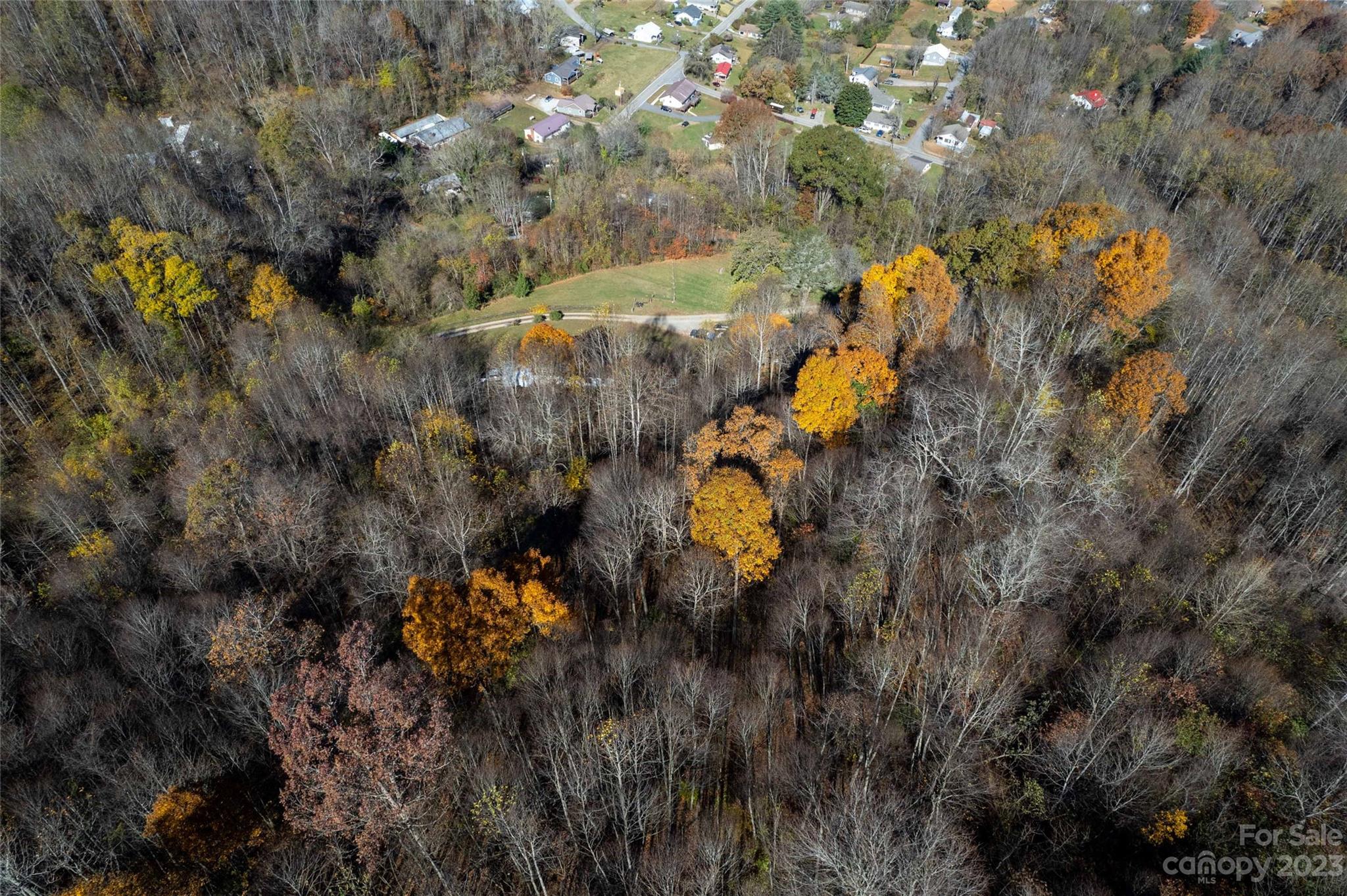 170 Painter Street Sylva, NC 28779 - Photo 36 of 48