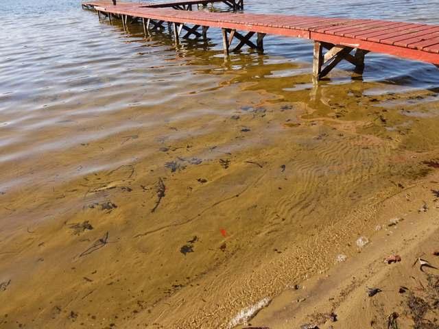 1631 East Bass Lake Road Eagle River, WI 54521 - Photo 3 of 20 Gallery Image 3
