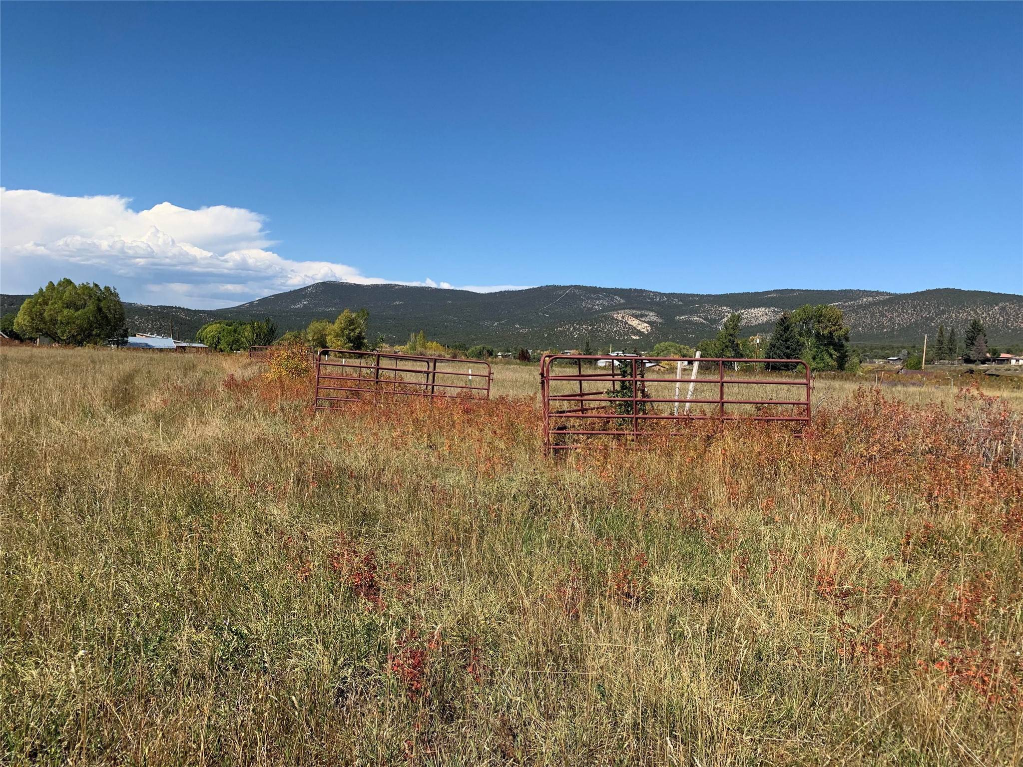 0 Roybal Road Penasco, NM 87553 - Photo 4 of 6