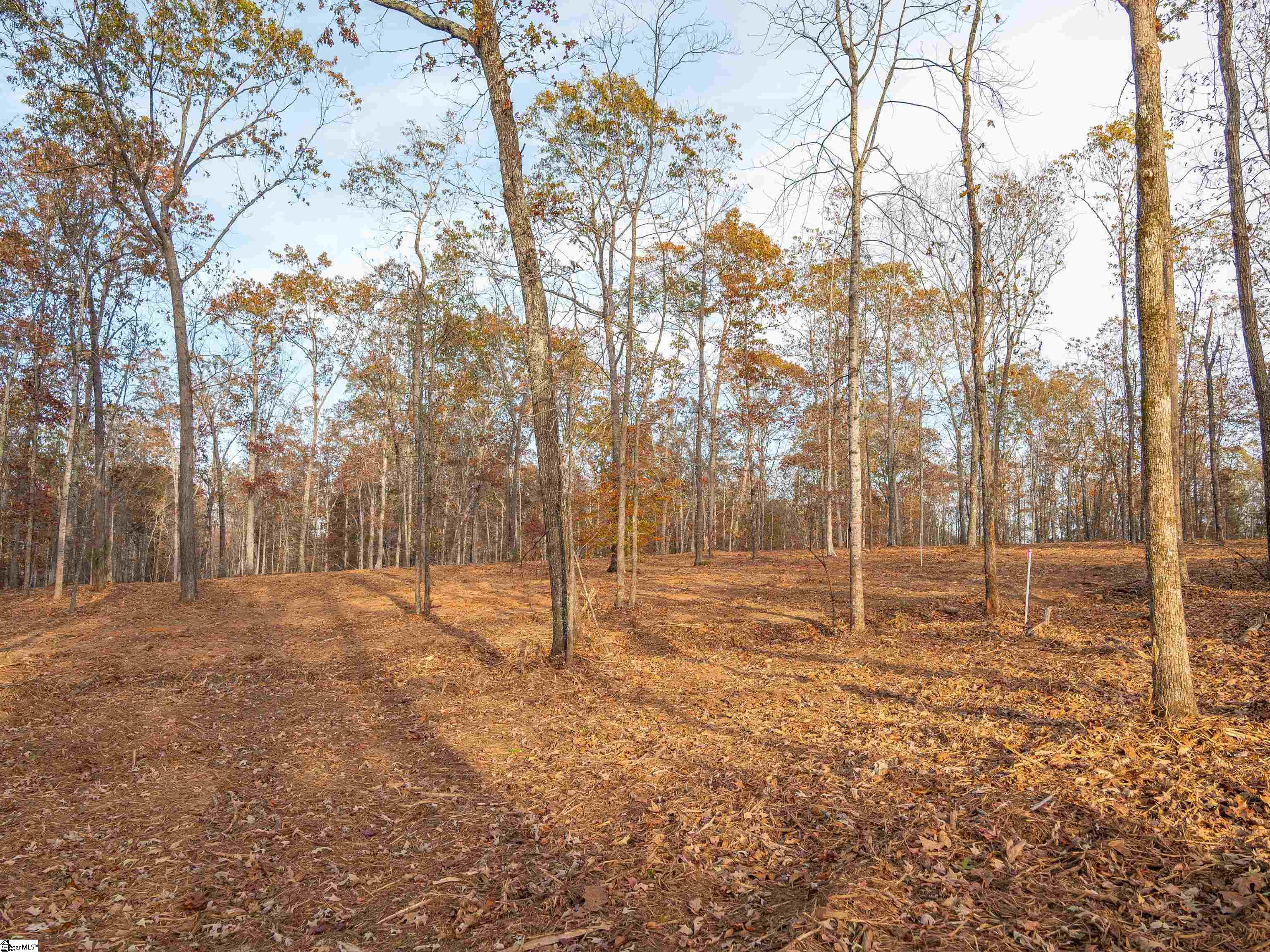 261 West Chapman Road, Unit LOT 10 Belton, SC 29627 - Photo 15 of 25