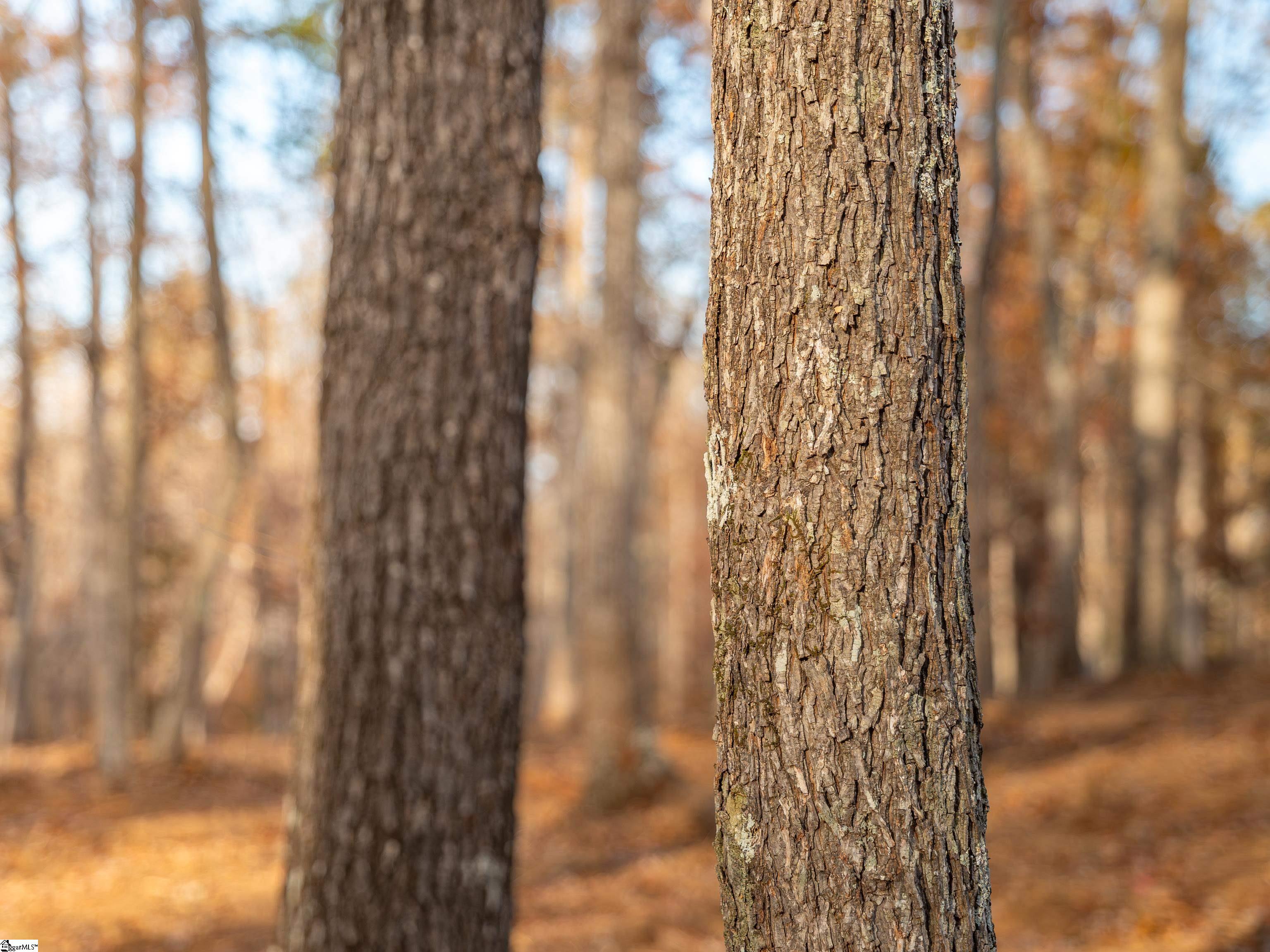 261 West Chapman Road, Unit LOT 10 Belton, SC 29627 - Photo 16 of 25