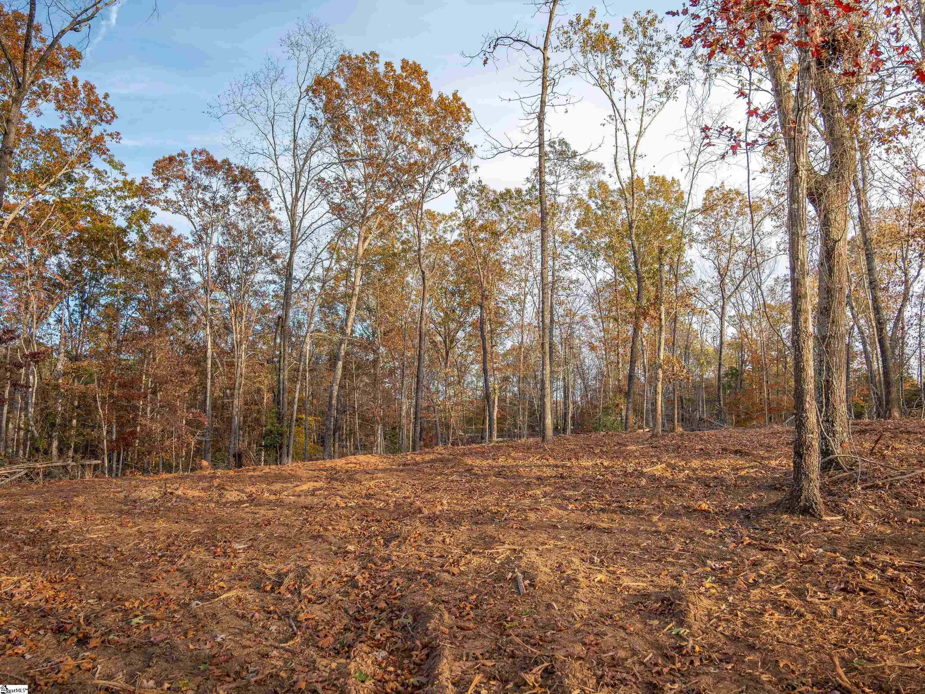 261 West Chapman Road, Unit LOT 10 Belton, SC 29627 - Photo 19 of 25