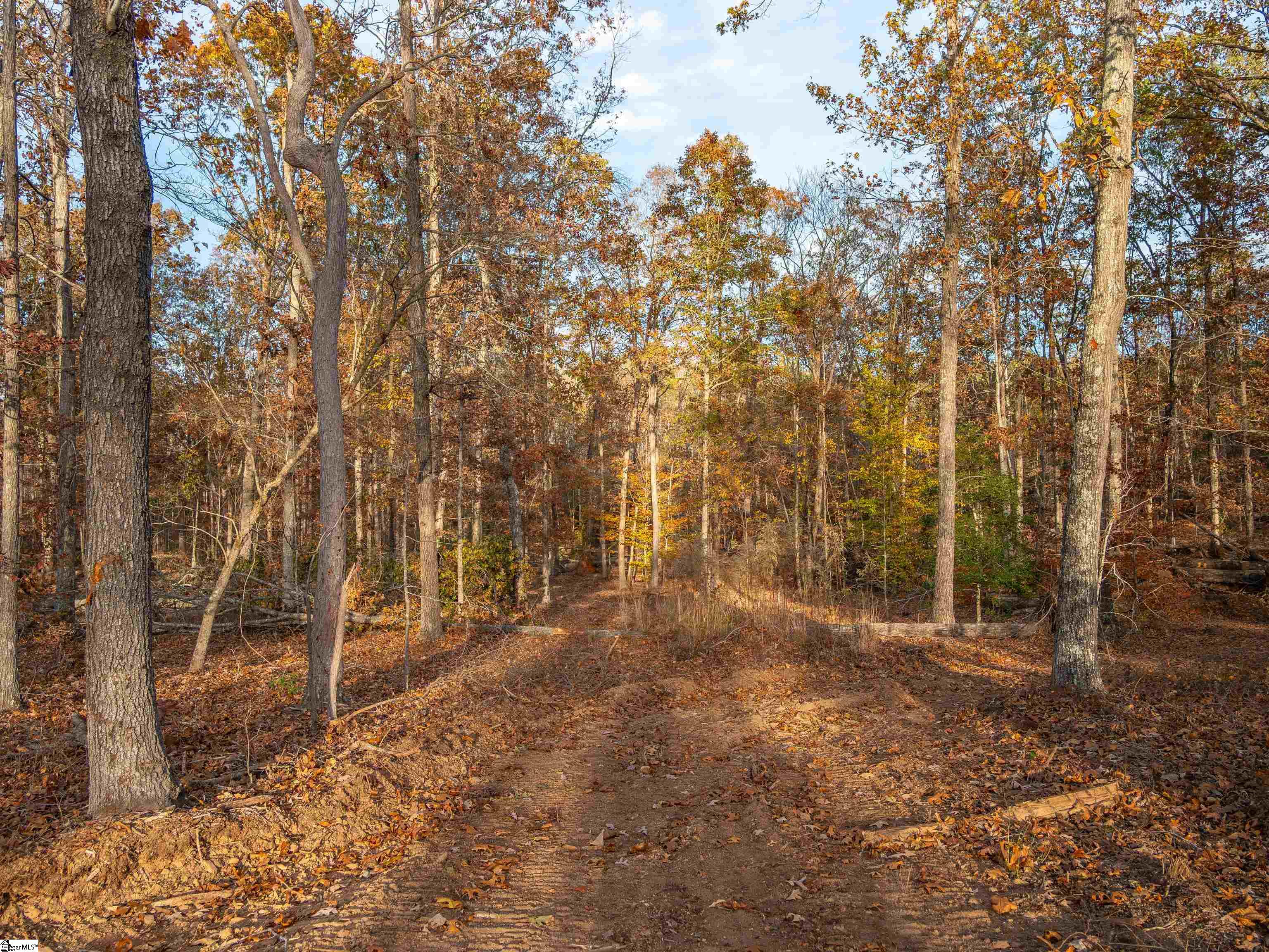 261 West Chapman Road, Unit LOT 10 Belton, SC 29627 - Photo 20 of 25