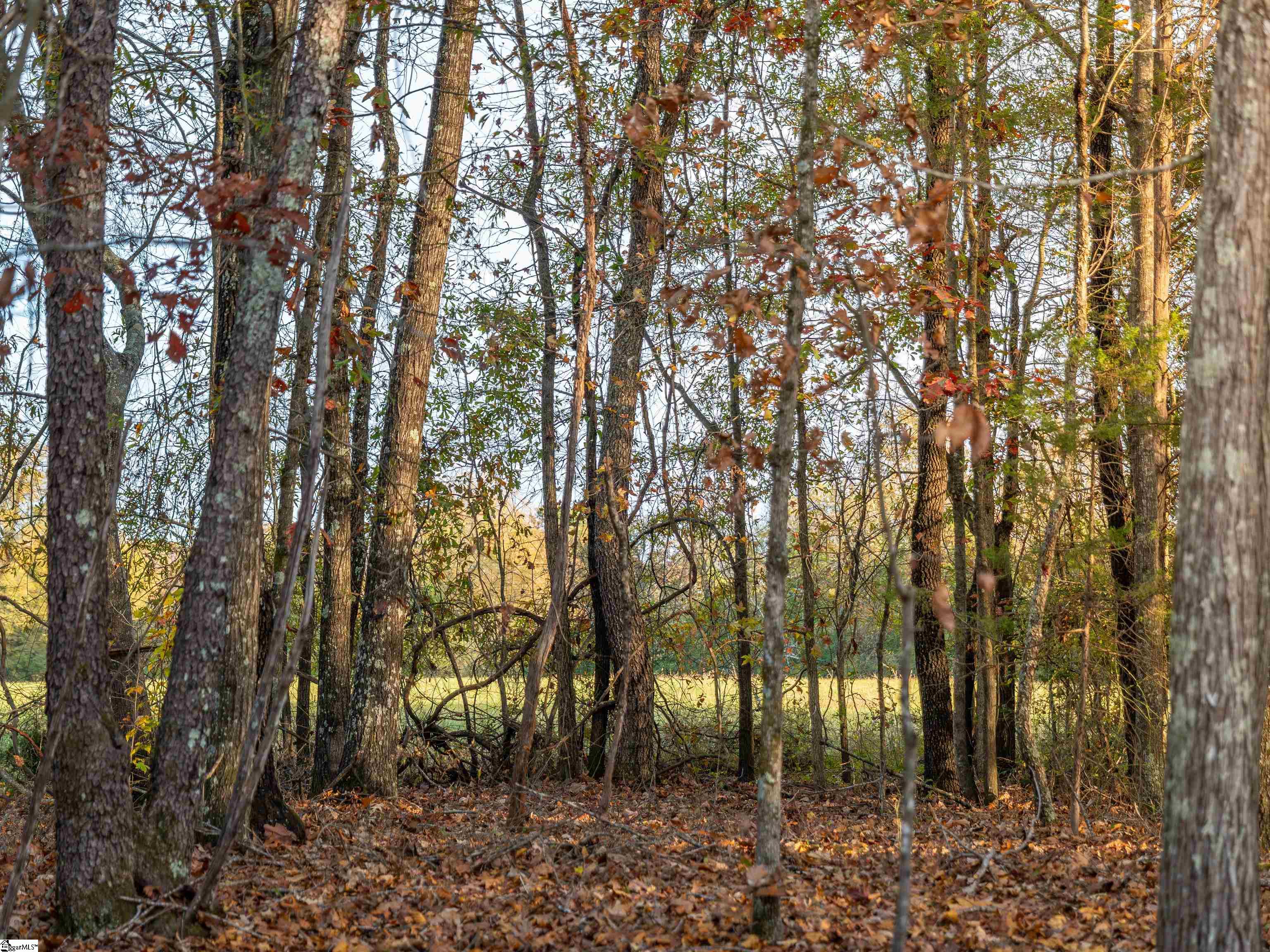 261 West Chapman Road, Unit LOT 10 Belton, SC 29627 - Photo 21 of 25