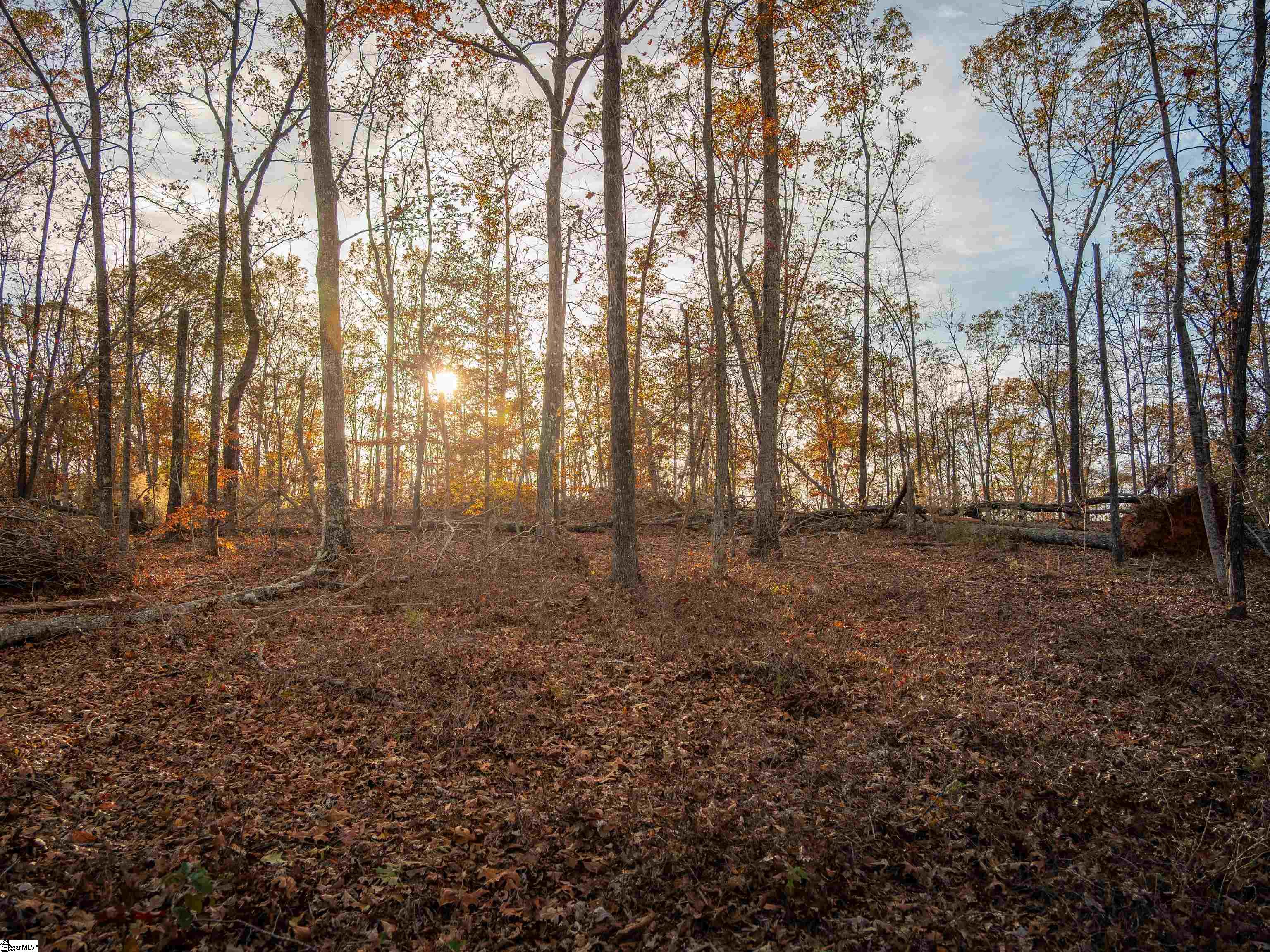 261 West Chapman Road, Unit LOT 10 Belton, SC 29627 - Photo 22 of 25