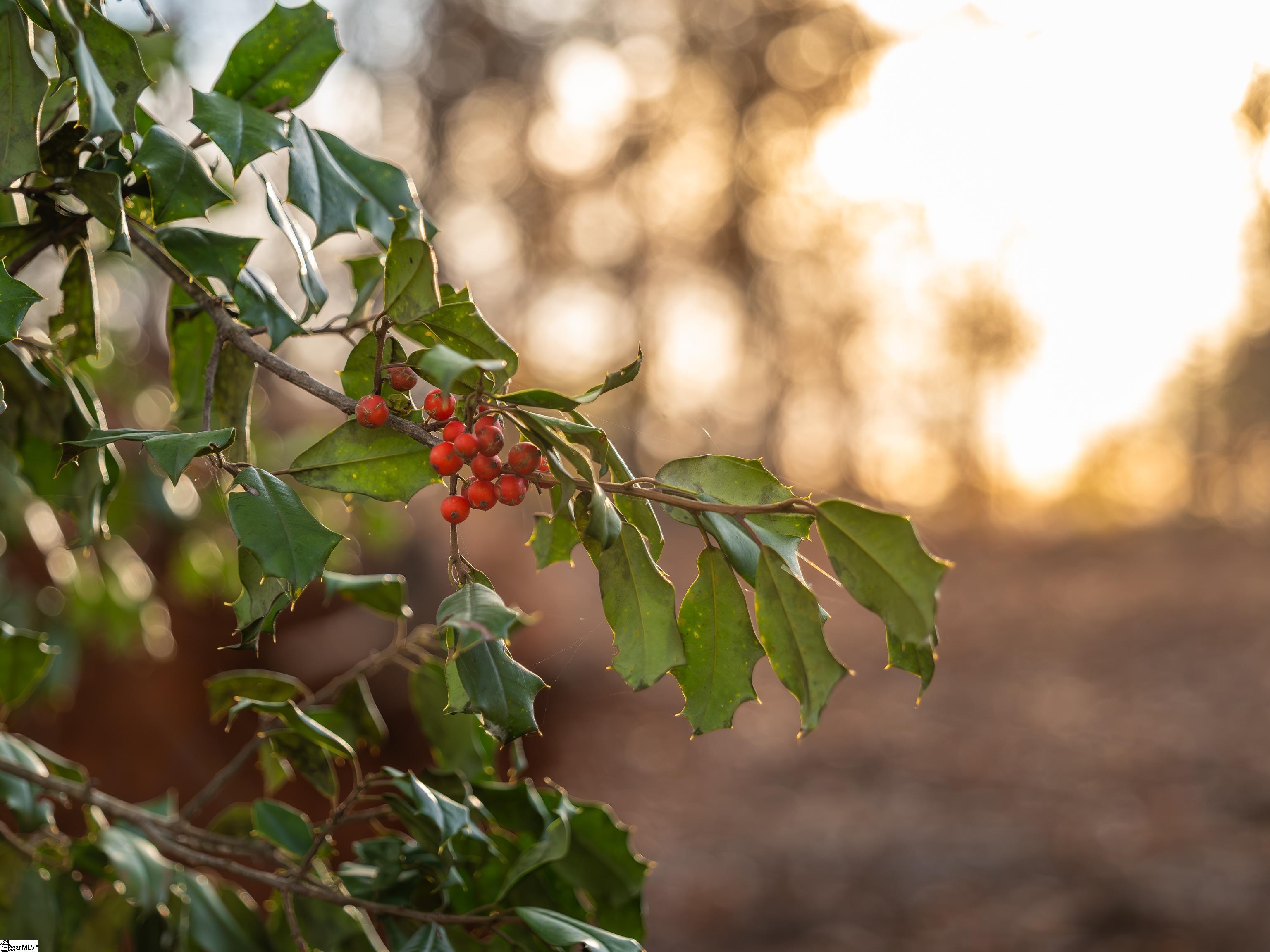 261 West Chapman Road, Unit LOT 10 Belton, SC 29627 - Photo 23 of 25