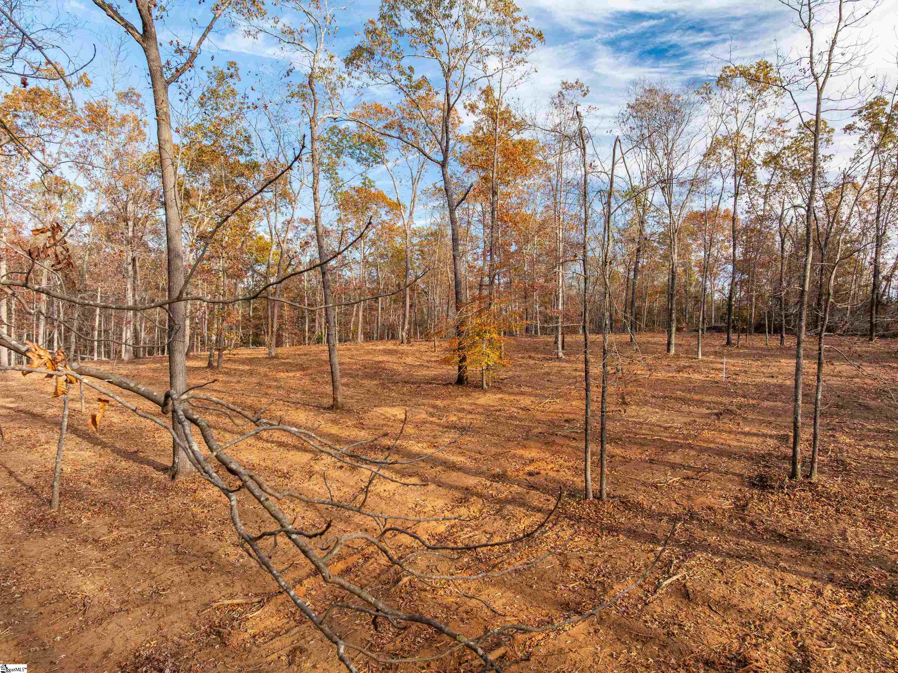 261 West Chapman Road, Unit LOT 10 Belton, SC 29627 - Photo 3 of 25